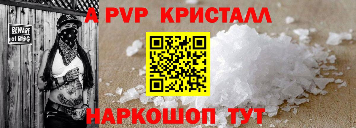 Альфа ПВП СК Сегежа