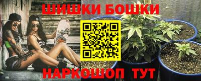 гашик Новодвинск