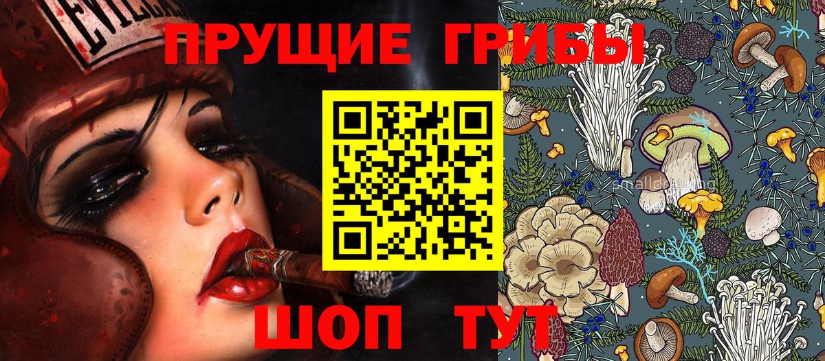 Сегежа  Галлюциногенные грибы Cubensis  Вход с VPN 