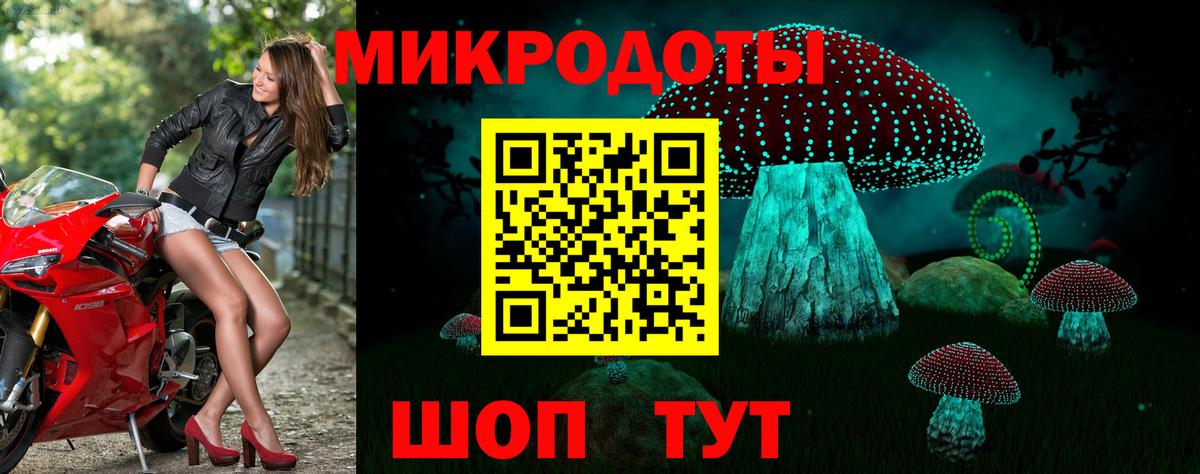Псилоцибиновые грибы Cubensis Сегежа
